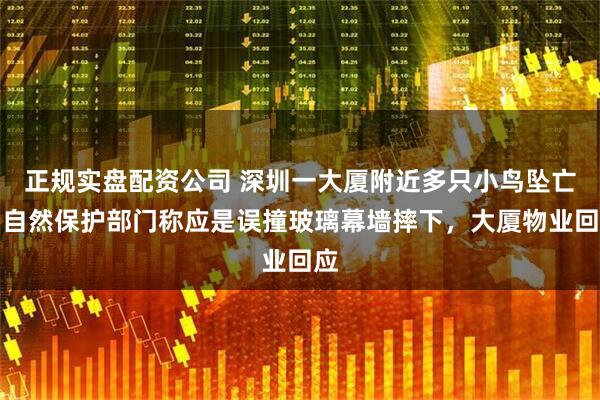 正规实盘配资公司 深圳一大厦附近多只小鸟坠亡，自然保护部门称应是误撞玻璃幕墙摔下，大厦物业回应